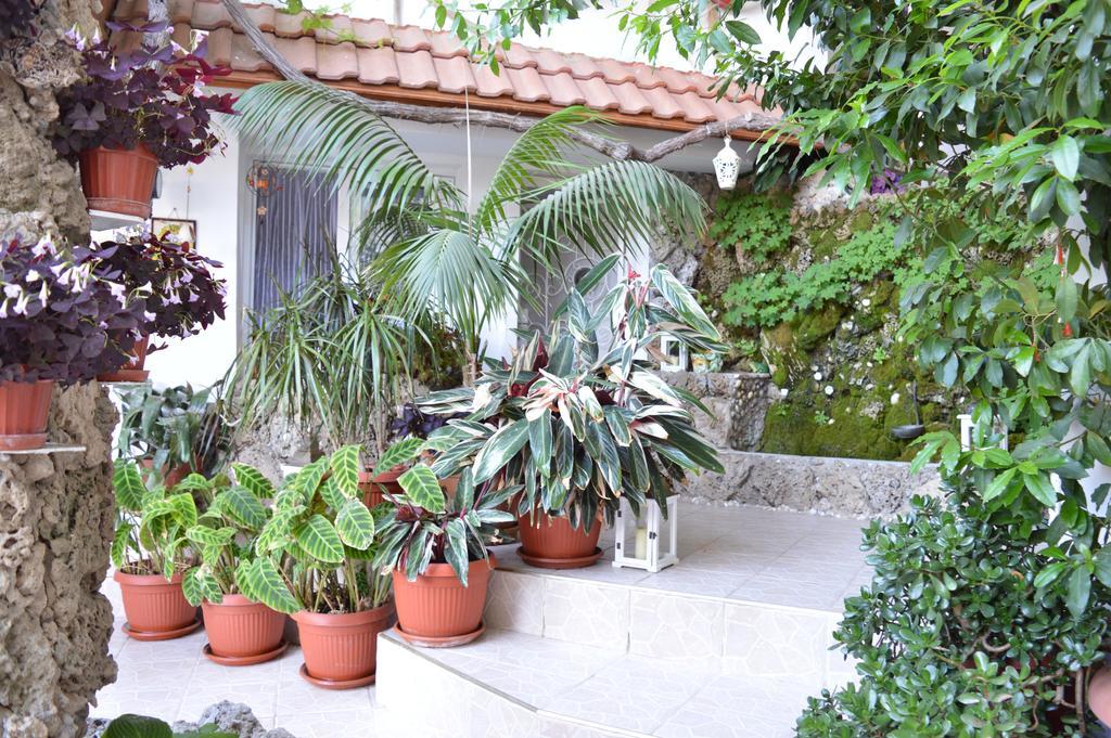 Family Hotel Sofi Sosopol Exterior foto